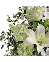 Premium Hand Tied size,  inches height and  inches wide.