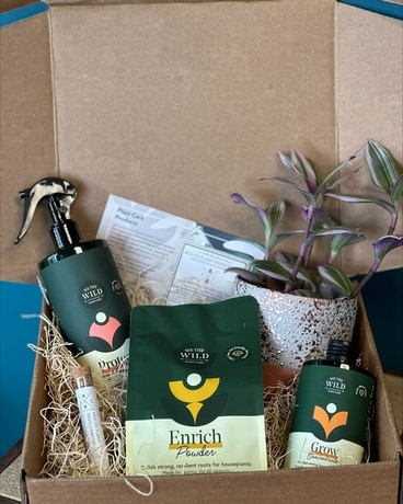 Plant Lovers Gift Box Gift Basket