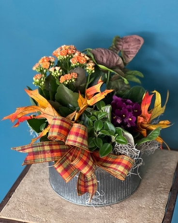 Fall Garden Plant