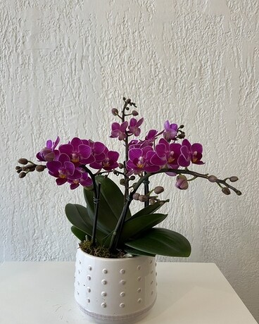 Chelsea Flower Arrangement