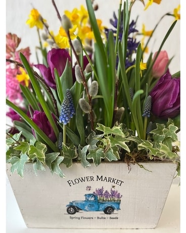 Amelia Flower Arrangement