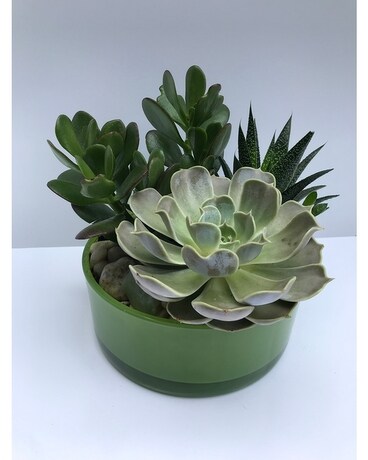 Vivienne Westwood Flower Arrangement