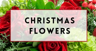 Flower Delivery to Pickerington by Claprood's Florist