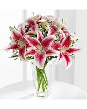 Stargazer Nights Bouquet Flower Arrangement