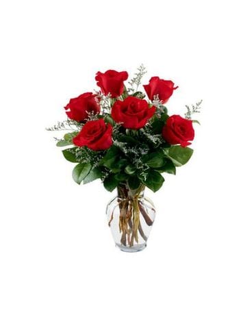 Mother's Day 1/2 Dozen Roses Flower Arrangement