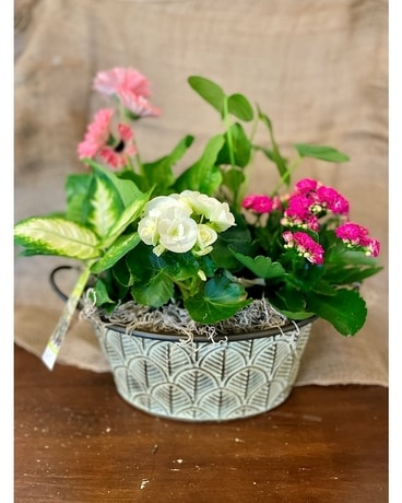 Leaf Tin Mixed Planter Dish Garden Plant