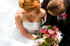 Beautiful Seasonal Flowers Banner