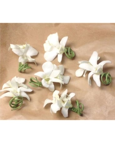 White Dendrobium Orchid Boutonniere Flower Arrangement