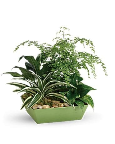 Flower Cart Forever Green Plant Garden Flower Arrangement