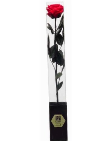 Preserved Roses in a gift Box Custom product