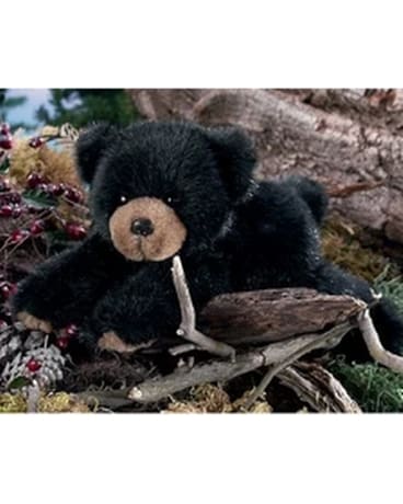 Bear- Baby Rocky Custom product