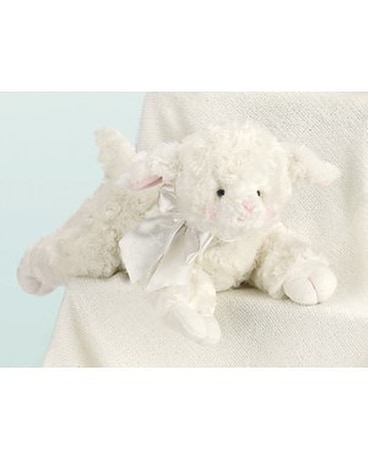 Lullaby Blesings size,  inches height and  inches wide.