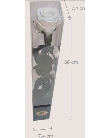 Preserved Roses in a Gift Box Custom product