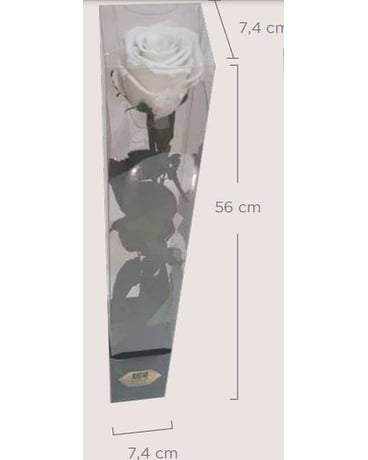 Preserved Roses in a Gift Box Custom product