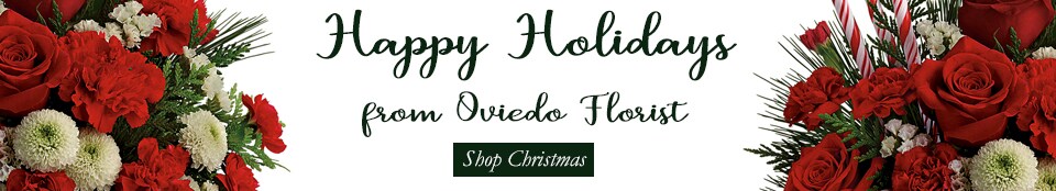 Flower Delivery to Oviedo by Oviedo Florist