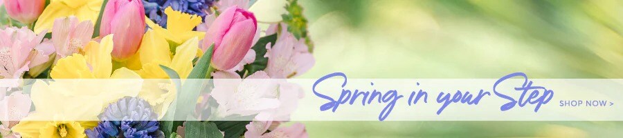 Flower Delivery to Oviedo by Oviedo Florist