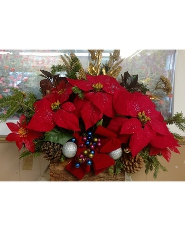 Merry3 Specialty Arrangement