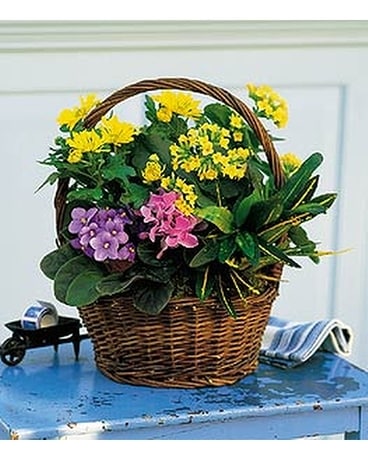 Petite European Basket Flower Arrangement