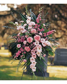 As shown size,  inches height and  inches wide.