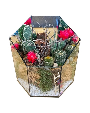 Cactus Garden (Small) By Arrowhead Flowers Dish Garden Plant