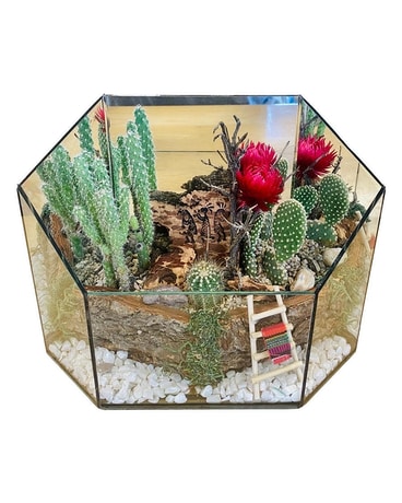 Cactus Garden (Medium) Custom product