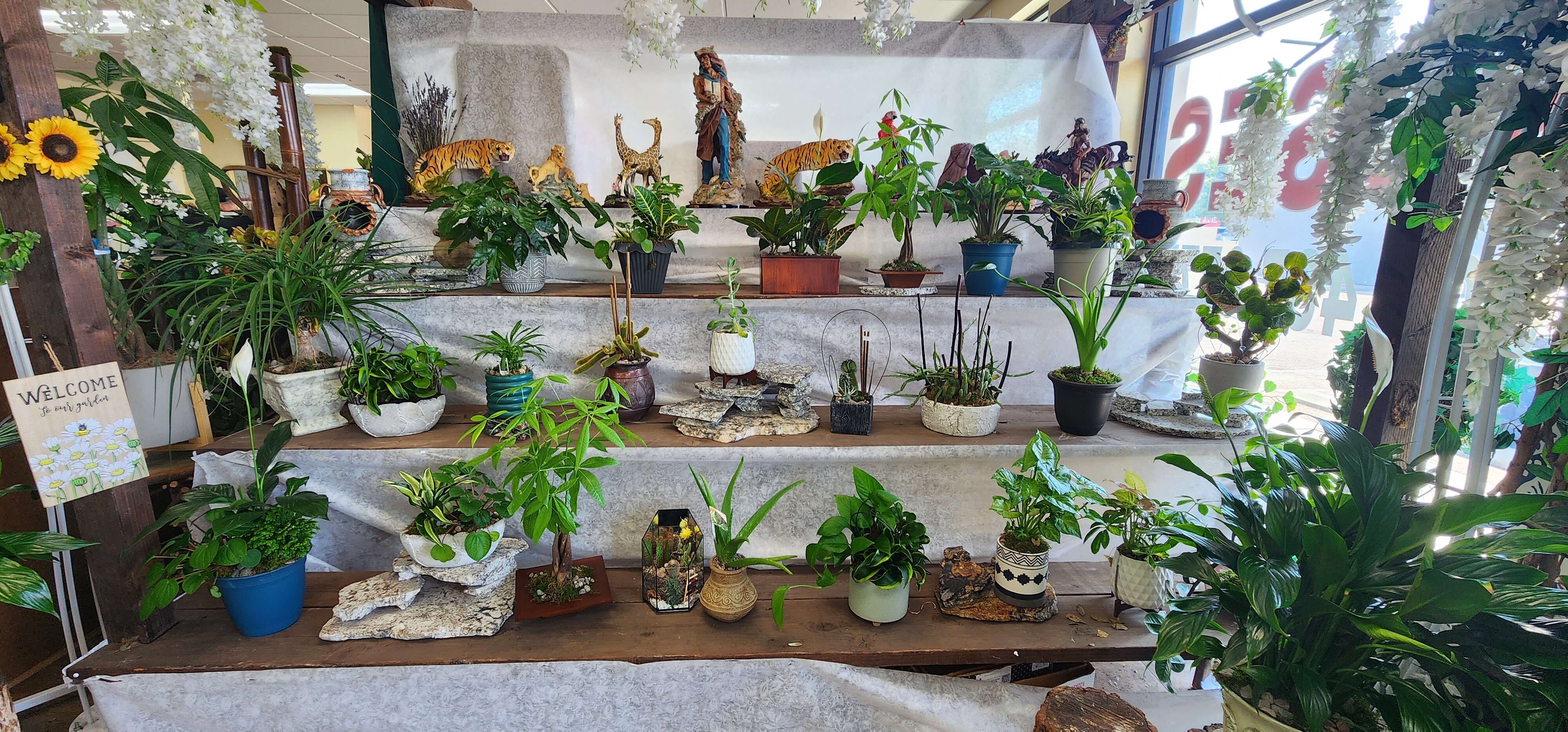 Designer’s Choice –Indoor Plant Plant