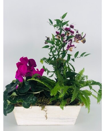 FMS Blooming Planter Box Flower Arrangement