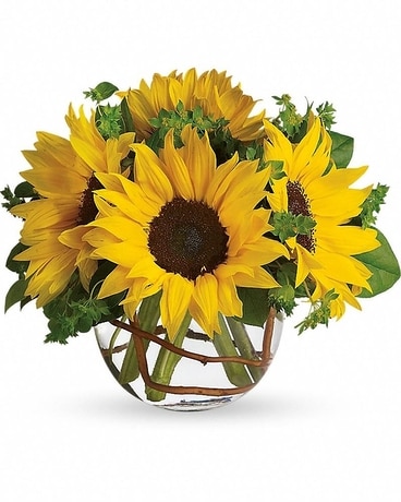 Sunny Sunflowers Flower Arrangement