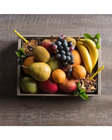 Bee Healthy Fruit & Nut Basket