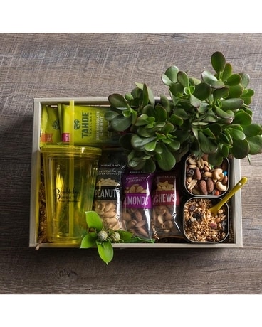 Zen & Bee Healhy Crate