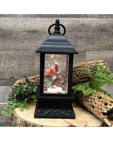 Cardinal - Sml Gifts