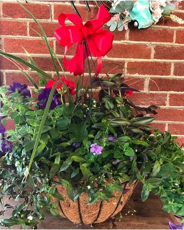 Mixed Coconut Hanging Basket Plant