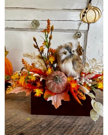 Owl And Pumpkin Arrangement Gifts