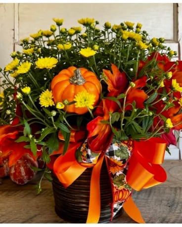 Decorative Potted Mum Plant