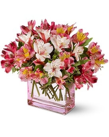 Teleflora's Always Alstroemeria Flower Arrangement