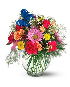 Teleflora's Butterfly & Blossoms Vase Flower Arrangement
