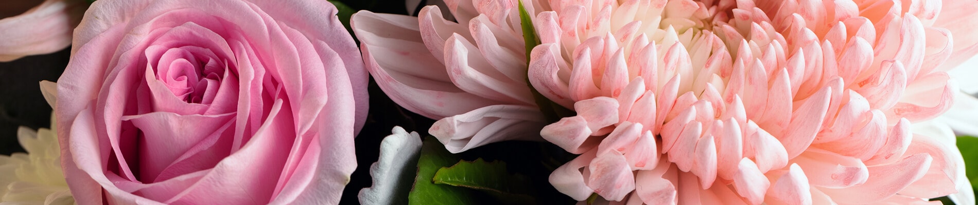 Shop Sympathy Collection, See Sympathy Flowers