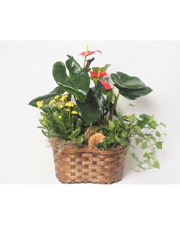 Plant Basket Flower Arrangement