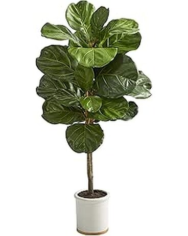 Tiger Lily Florist Delivery Charleston SC - Tiger Lily Florist