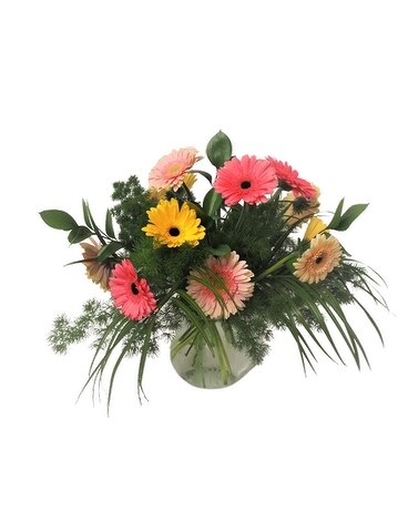 Simply Gerberas-Assorted  Happy Colors Flower Arrangement