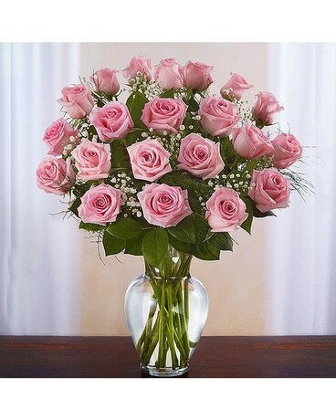 Deux Douzaines Roses