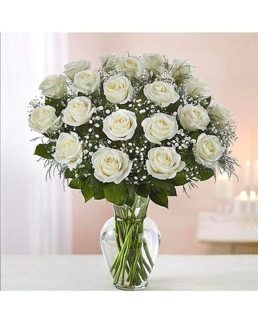 2 Blanc Dozen