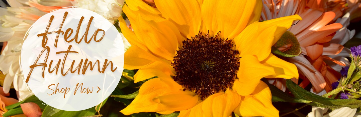 Fall Flowers