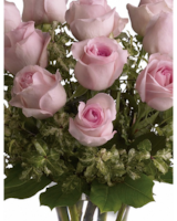 Light Pink - 18 size,  inches height and  inches wide.