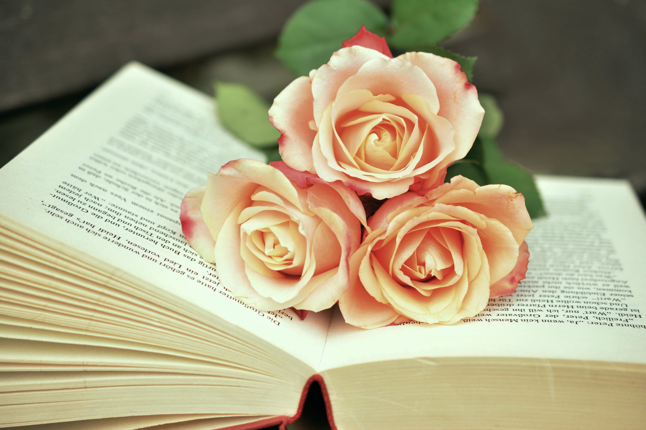 Beautiful Seasonal Flowers Banner