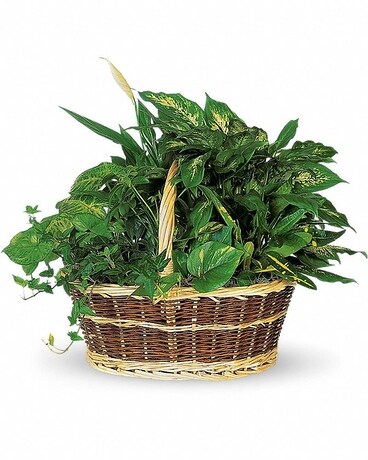 Large Basket Garden in Traverse City MI - Cherryland Floral