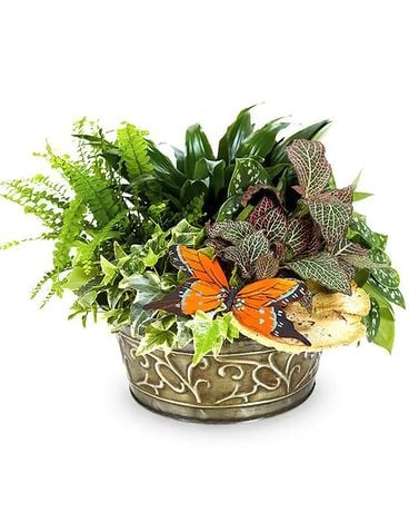 Planter Garden with natural accents Flower Arrangement