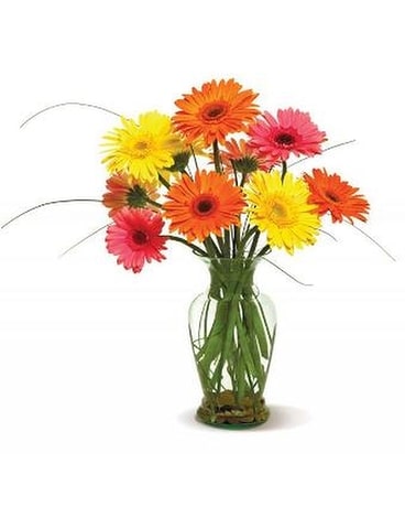 Happy Gerberas Flower Arrangement