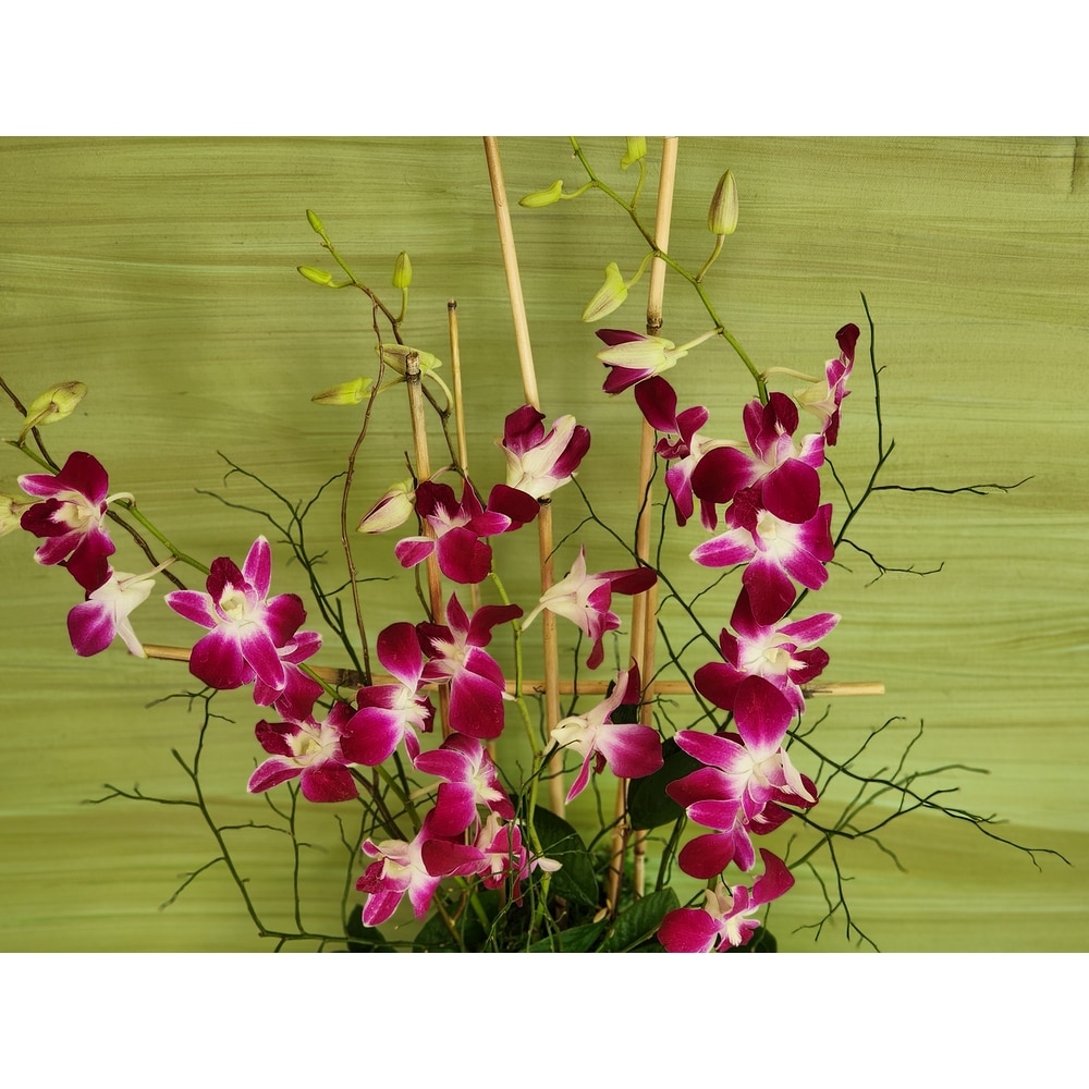 Luxury Flowers - Orinda Florist | Elegant Floral Arrangement for