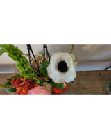 Orkid Plant with cut flowers 00 size,  inches height and  inches wide.